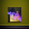 Colorful flower-shaped string of decorative ambient lights, suitable for both indoor and outdoor use, with soft and warm light Application Scenario
